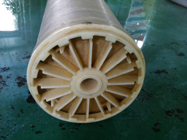 IMG_0975.JPG IMG_0975.JPG