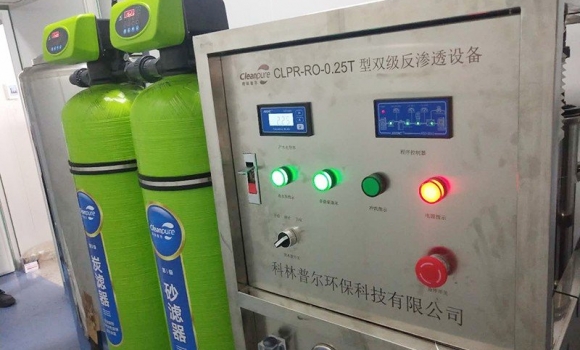口罩廠(chǎng)0.25噸雙級(jí)反滲透純化水設(shè)備