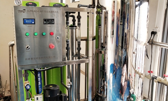 食品廠(chǎng)0.25噸反滲透純凈水設(shè)備