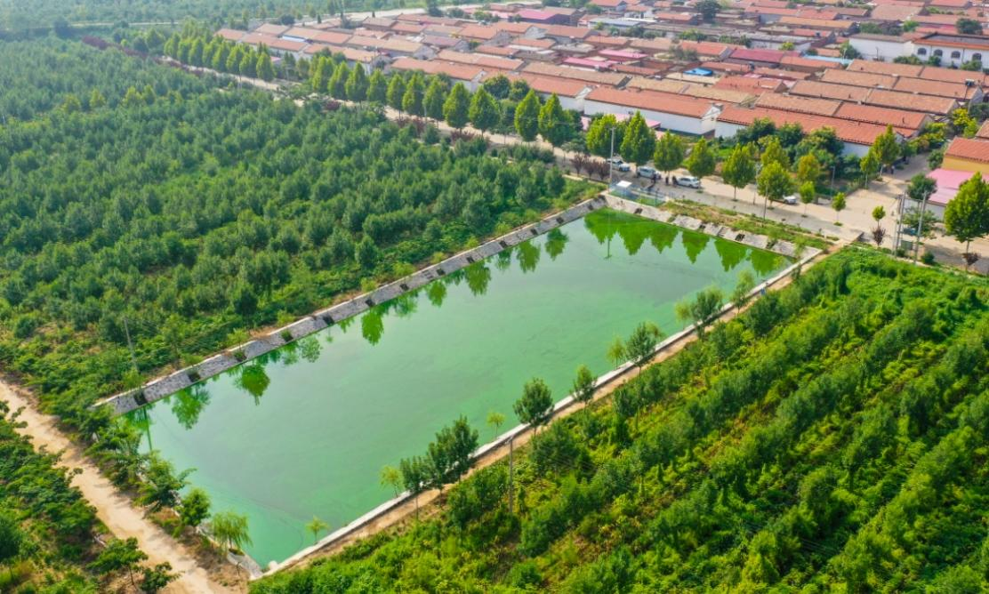 圖片1.png 圖片1.png